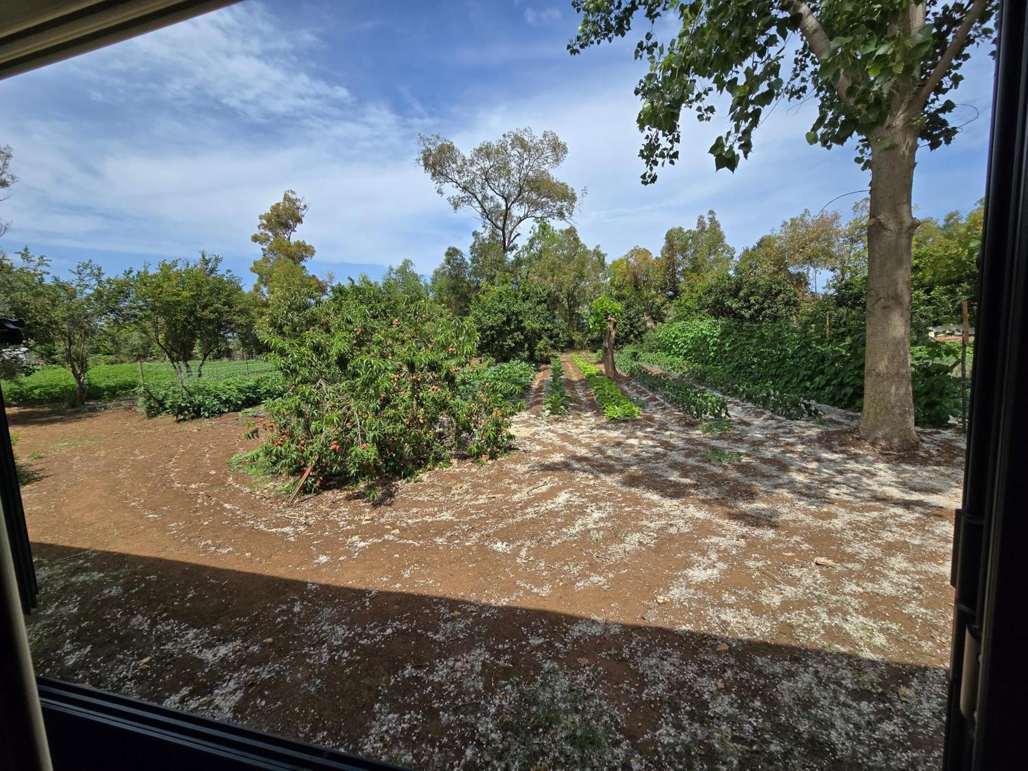 Village Camping Fico D'India Ovile la Marina Room photo